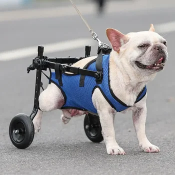 Klubo Pet Vežimėlio Paramos Kojos Įtvaras Krepšelį Susisiekimas Aids Vaikščioti Ratais Įrankių Reguliuojamas Mobilumo Ir Šunį