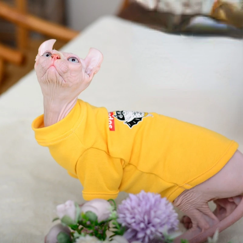 Beplaukiai Katė Drabužių Rudens Palaidinukė Anti-praliejimo T-shirt Kailis Šiltas Sfinksas Beplaukiai Katė Mažų Šunų Drabužių Naminių Reikmenys 3