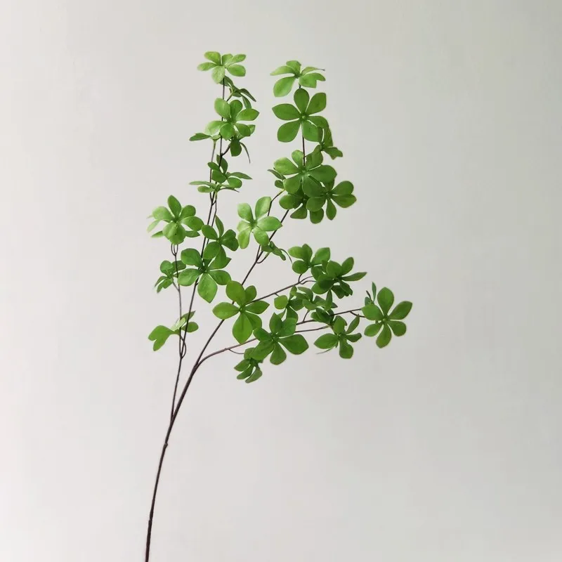 Pakabukas Laikrodis Modeliavimas Žalieji Augalai Bonsai Raudonmedžio Lapų Baldai Gyvenamasis Kambarys Su Minkšta Apdaila Modeliavimas Gėlių Fotografija 4